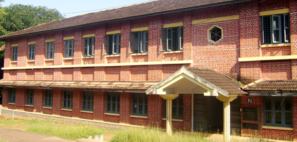 About the Department